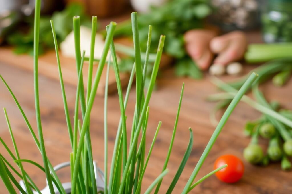 chives